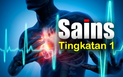 Sains Tingkatan 1