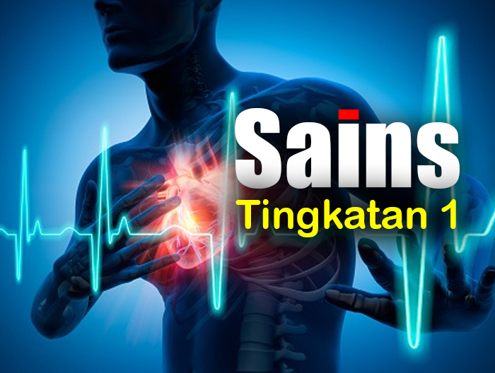 Kelas Tuisyen Online Sains Tingkatan 1